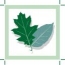 Logo Hausbau Martin Schrock