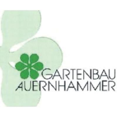 Logo Auernhammer Thomas