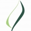 Logo Balance Studio