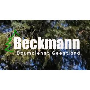 Logo Baumdienst Geestland