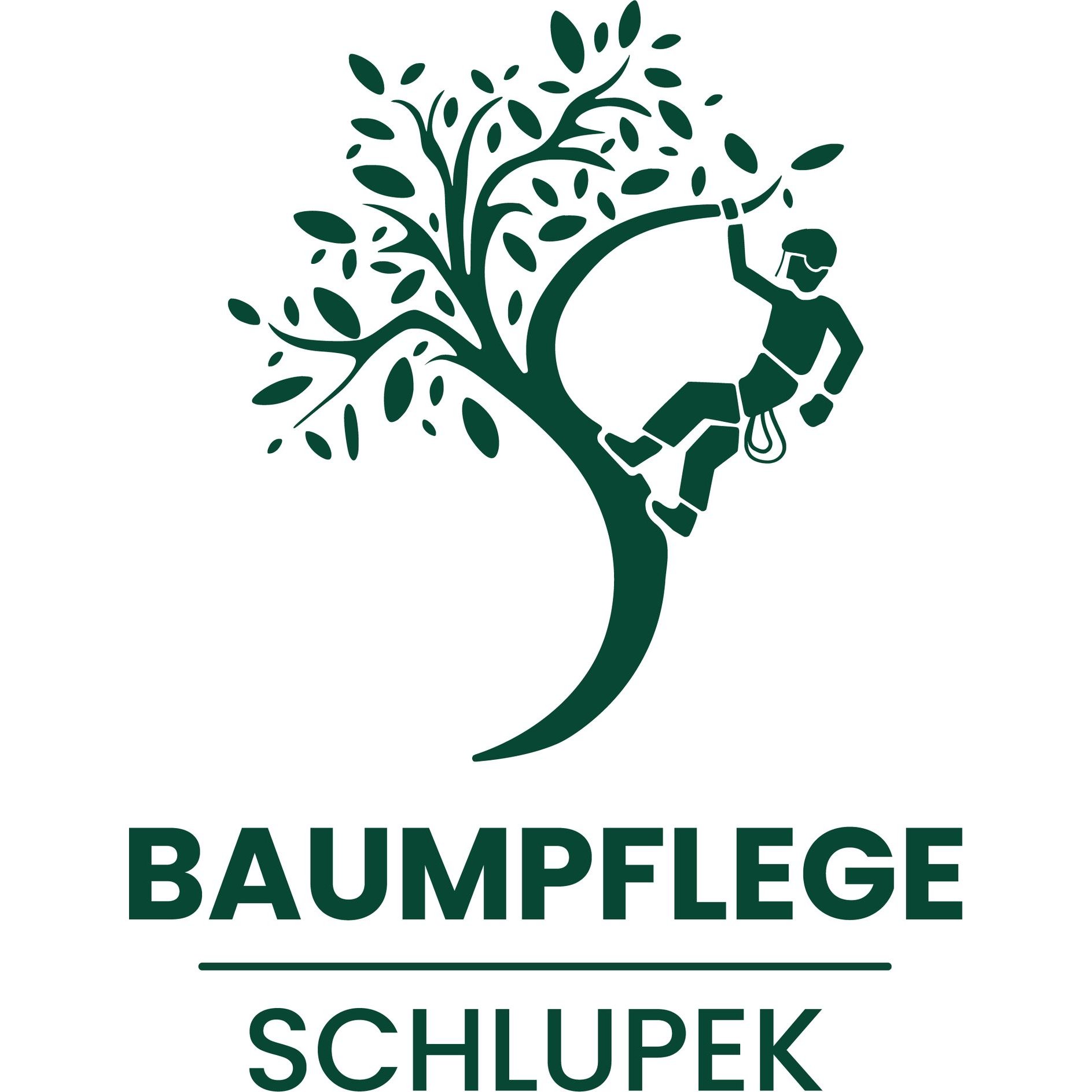 Logo Baumpflege Schlupek