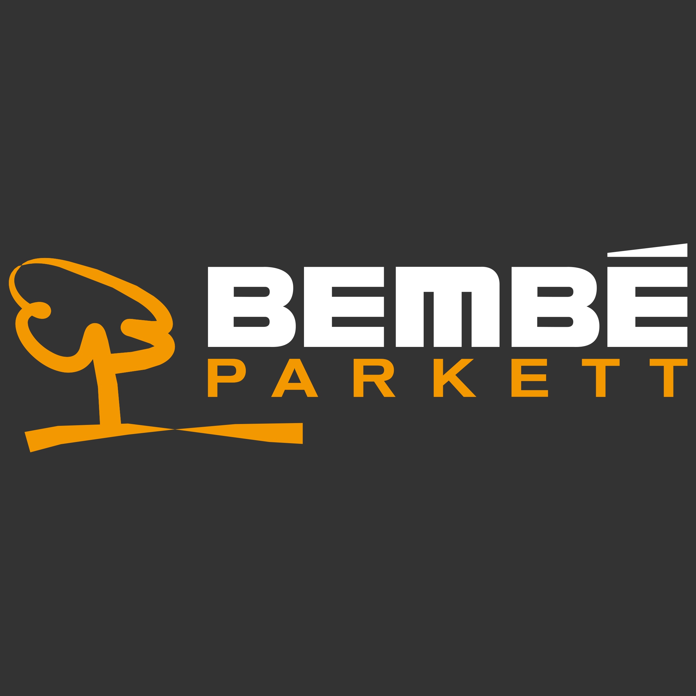Logo Bembé Parkett