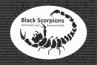 Logo Black Scorpions Sicherheitsdienst