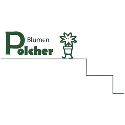 Logo Blumen Polcher