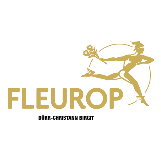 Logo Blumenfachgeschäft Dürr-Christann Inh. Birgit Dürr-Christann