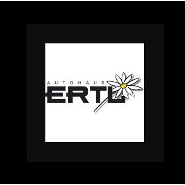 Logo Ertl Minute GmbH