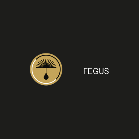Logo Fegus GmbH & Co. KG