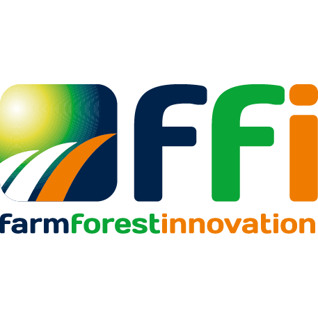Logo FFI GmbH