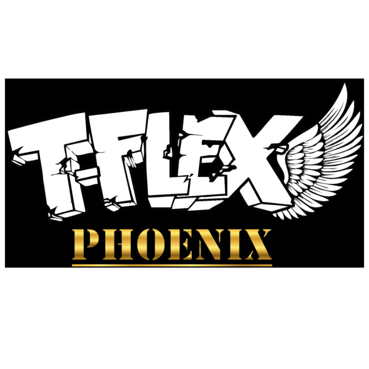Logo T-Flex Phoenix GmbH