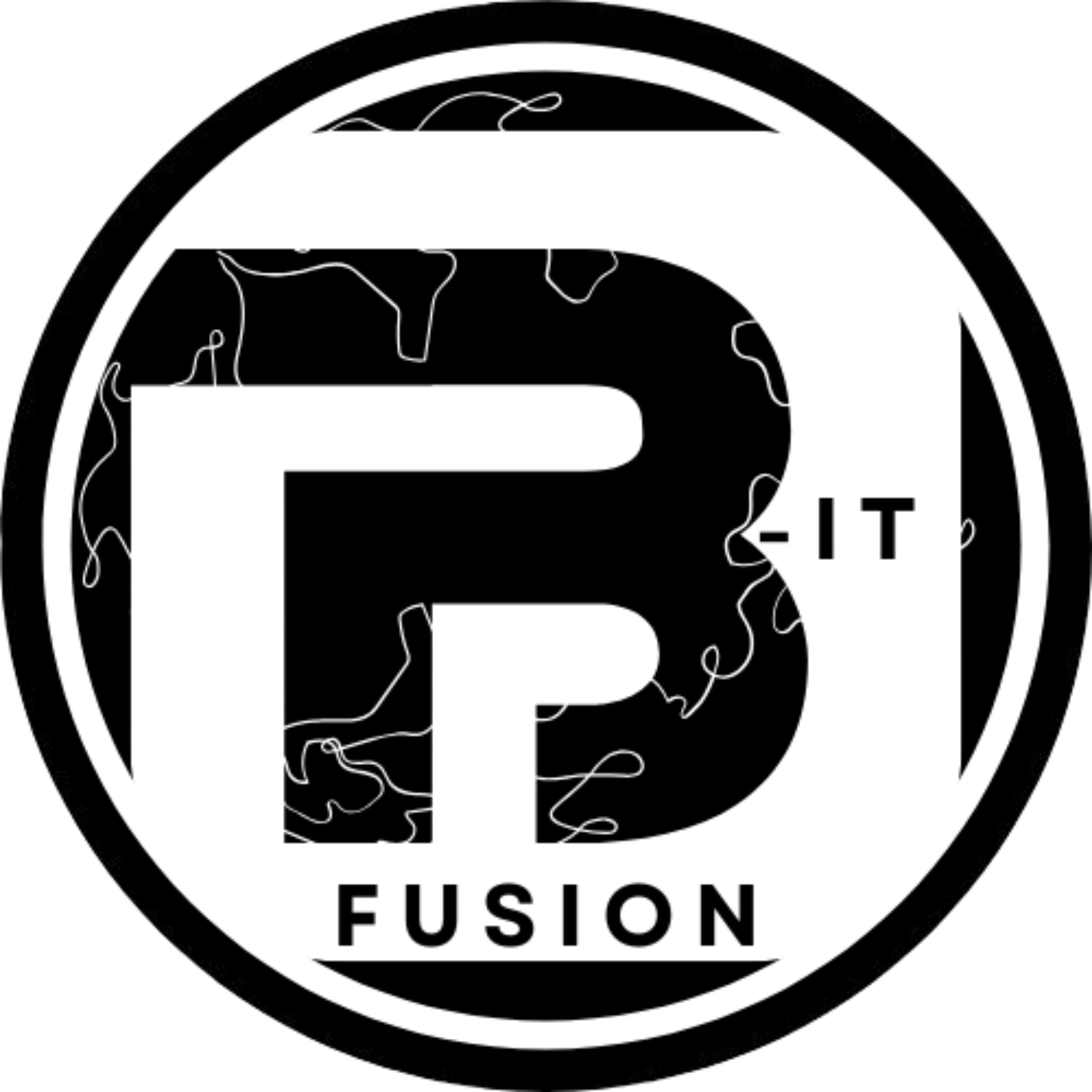 Logo B-IT Fusion