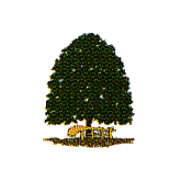 Logo Lindenboom-Apotheke