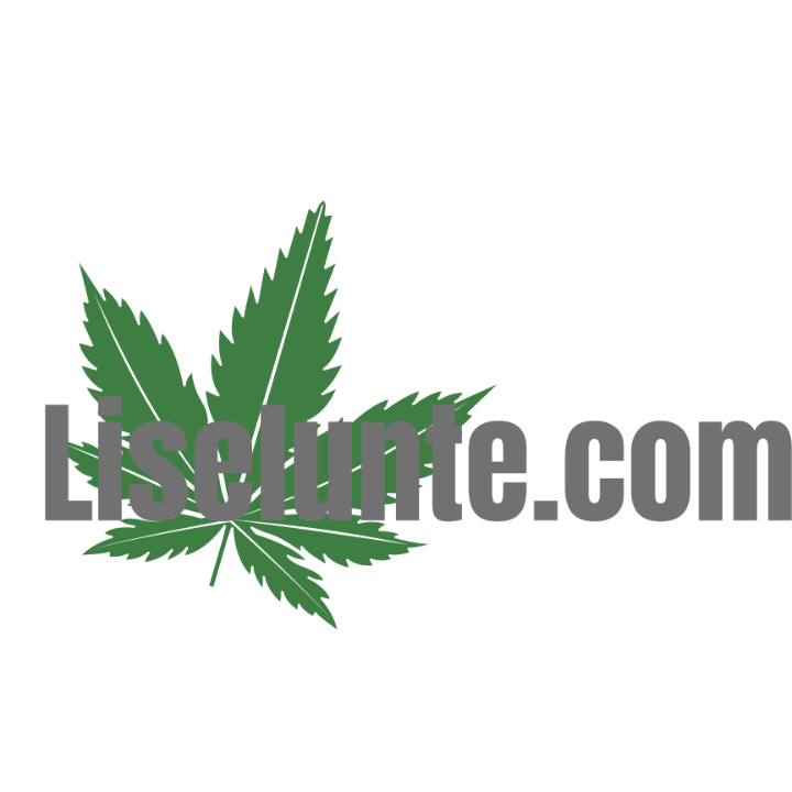 Logo Liselunte.com