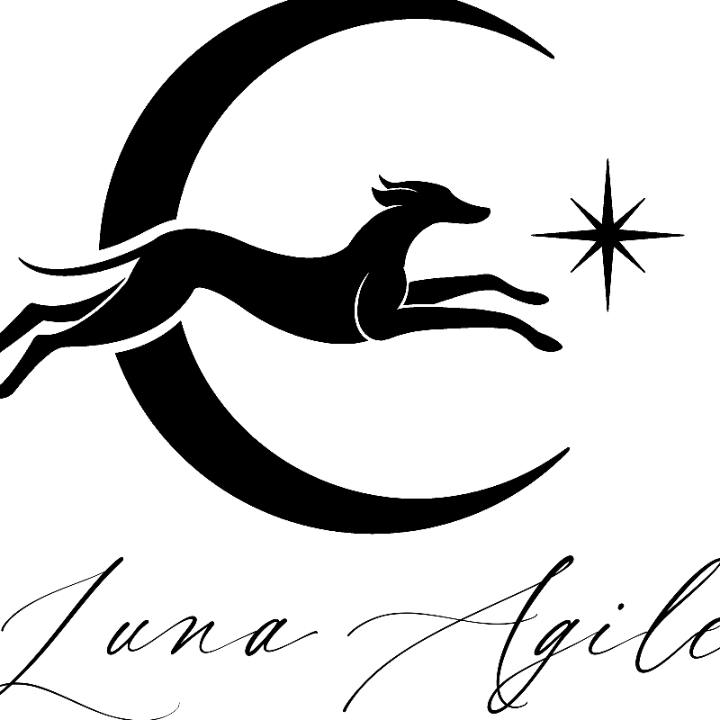 Logo Luna Agile