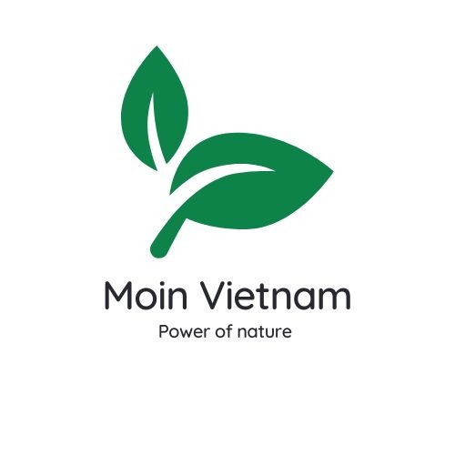 Logo MOIN VIETNAM