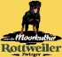 Logo Fliesenleger
