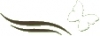Logo & Körper