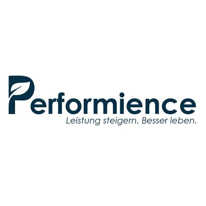 Logo Performience