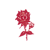 Logo Rosen-Apotheke