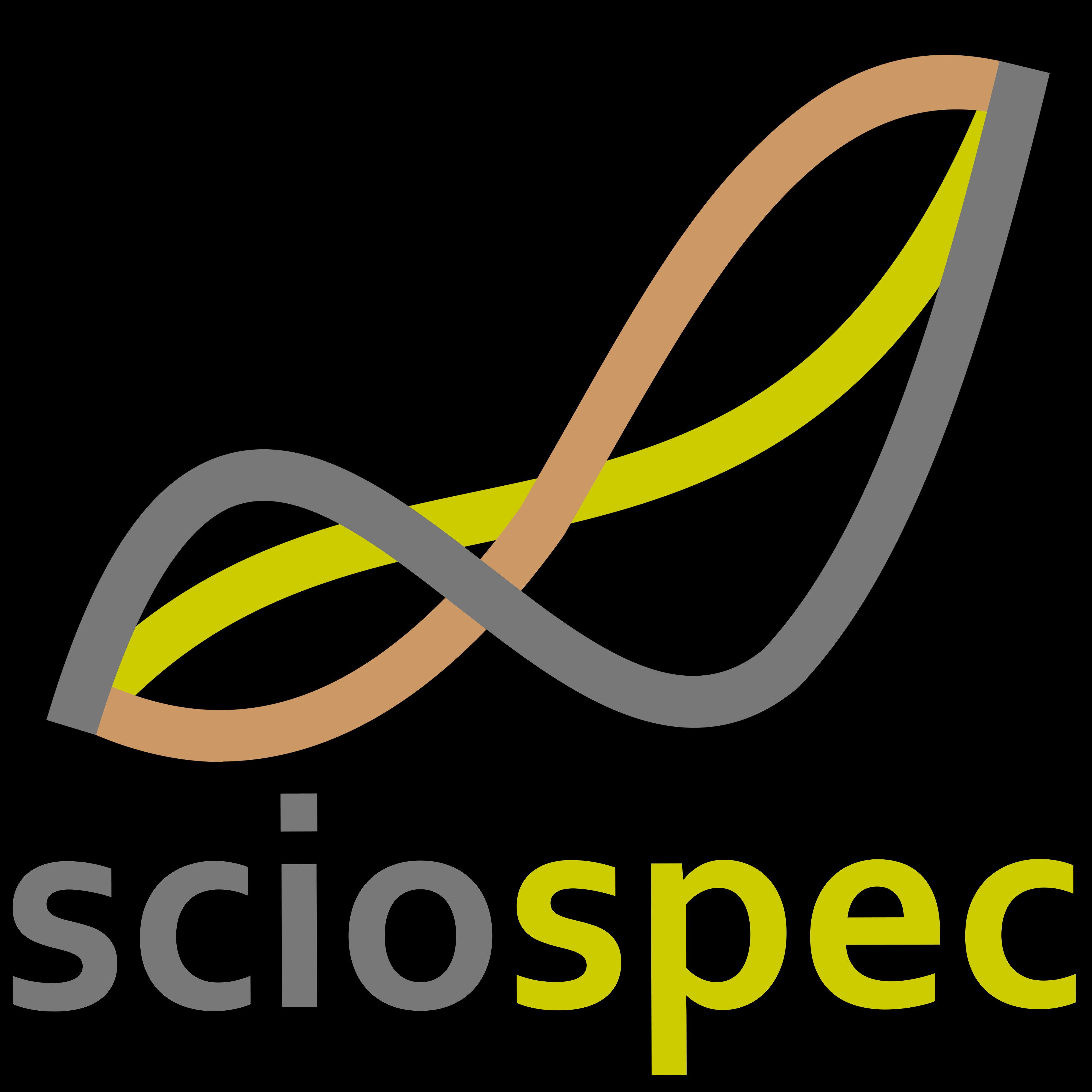 Logo Sciospec Scientific Instruments GmbH