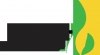 Logo TANZEN IN KIEL im PTSK e.V