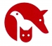 Logo Tiere in Not Breisgau e.V