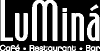 Logo Lumina