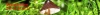 Logo vitalpilzzentrum-berlin.de
