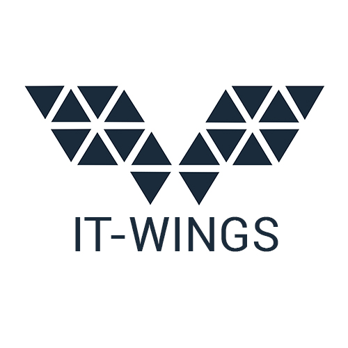 Logo IT-WINGS