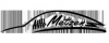 Logo Walter Metzen