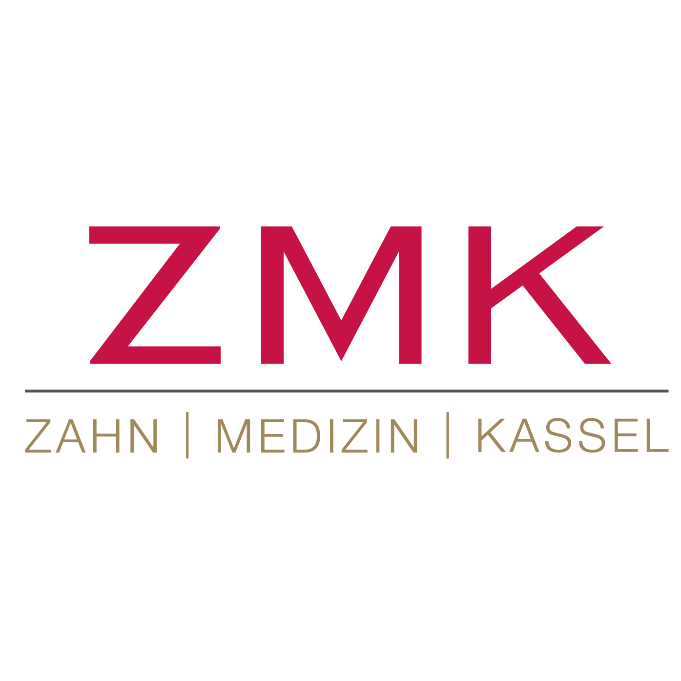Logo ZMK Bleaching Lounge