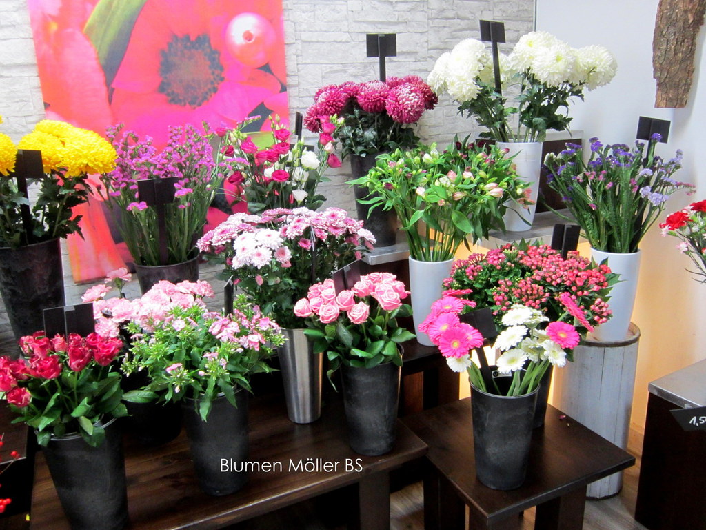 Blumen Möller