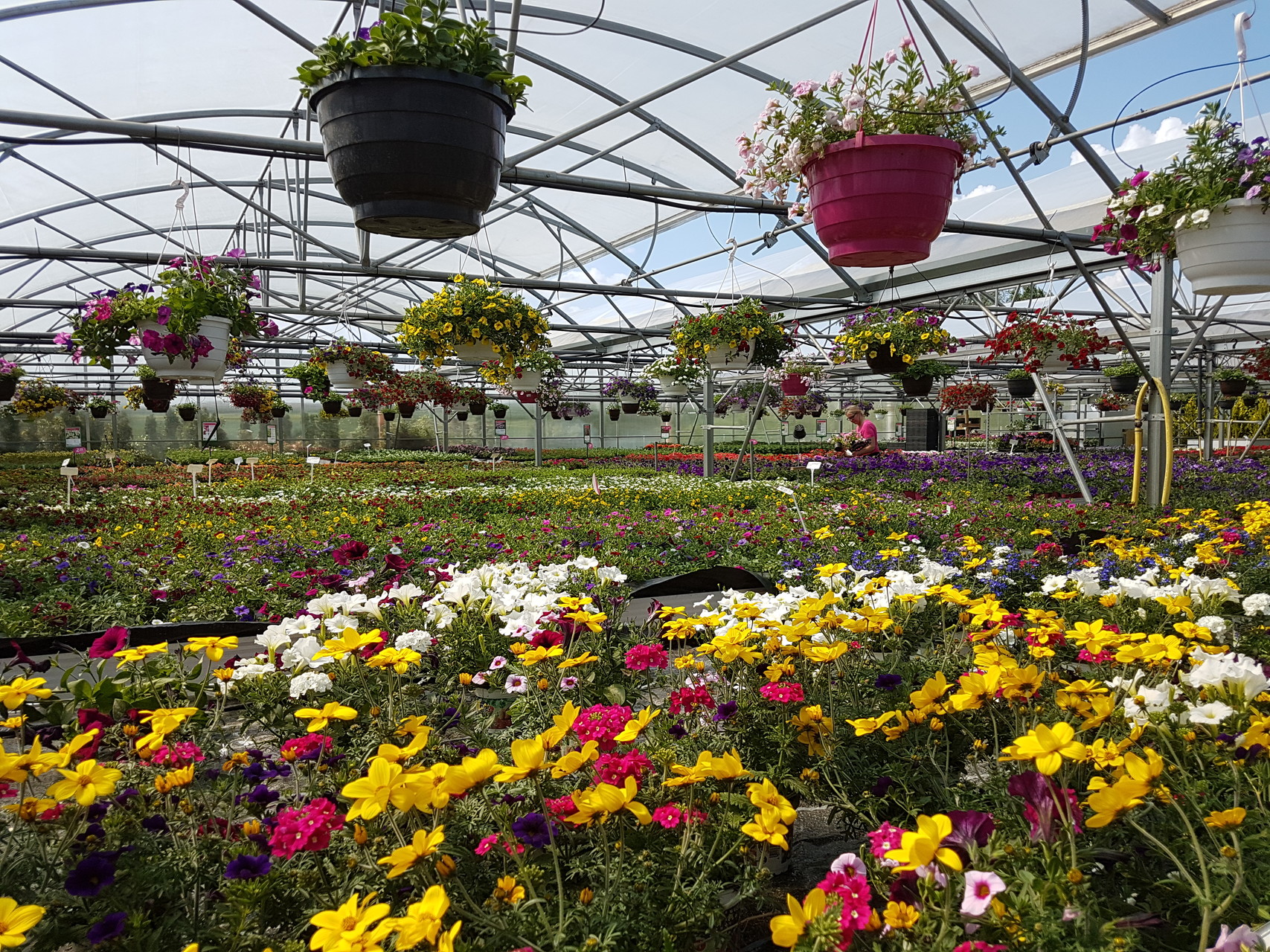 Gärtnerei Schliebener eGbR