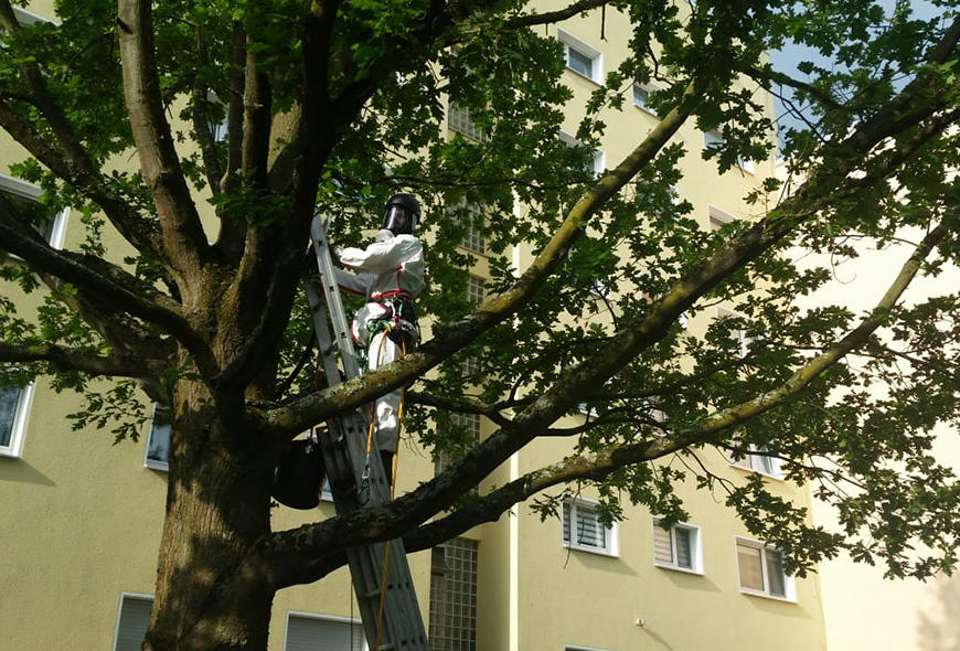Garten- u. Landschaftsbau Burkhardt GmbH & Co. KG