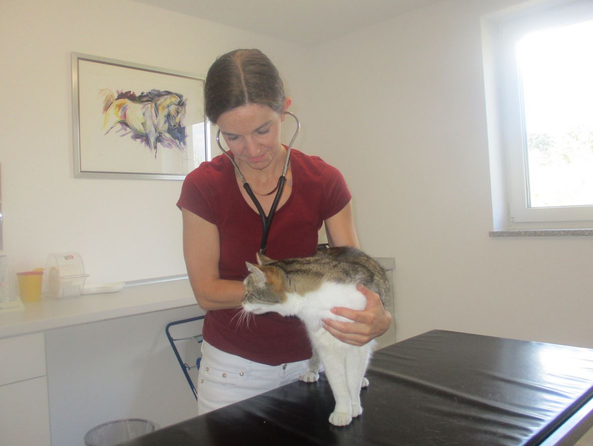 Johannes Sieber Prakt. Tierarzt