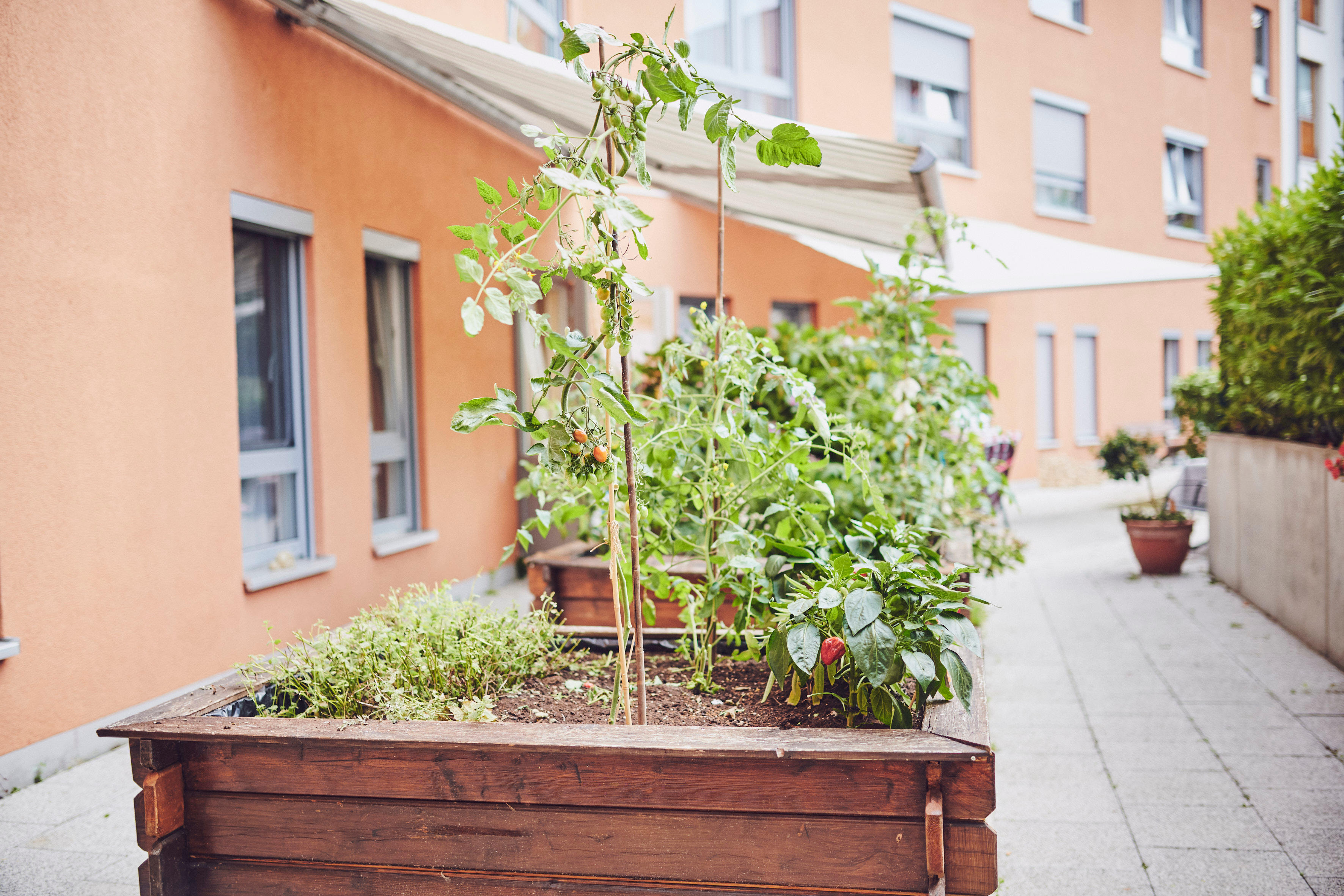 Johanniter-Haus Köln-Zollstock
