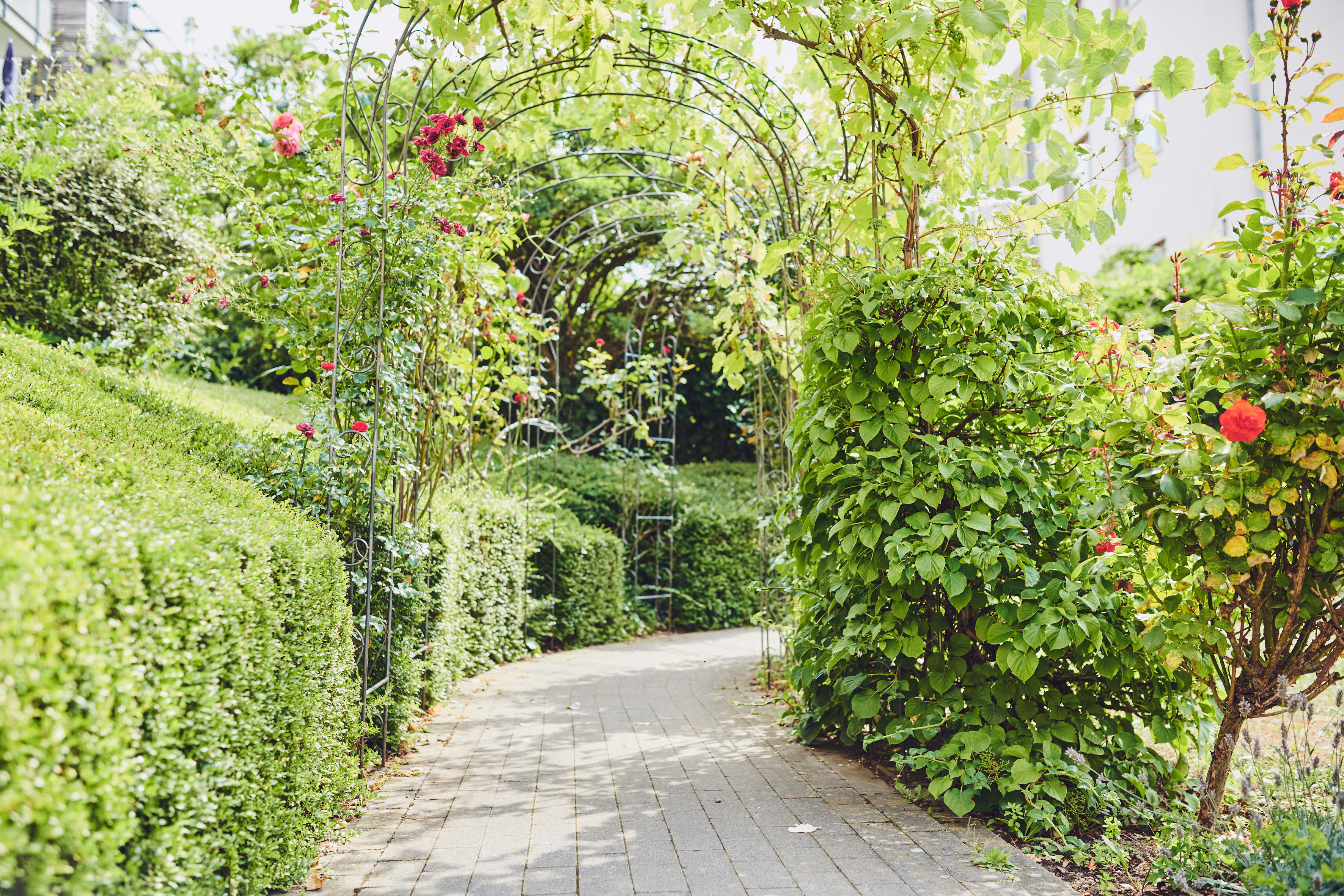 Johanniter-Haus Köln-Zollstock
