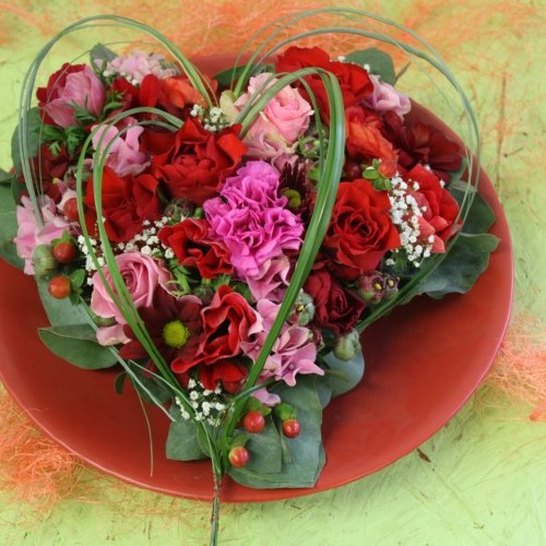 Kolonko Pflanzen, Floristik & Phantasie