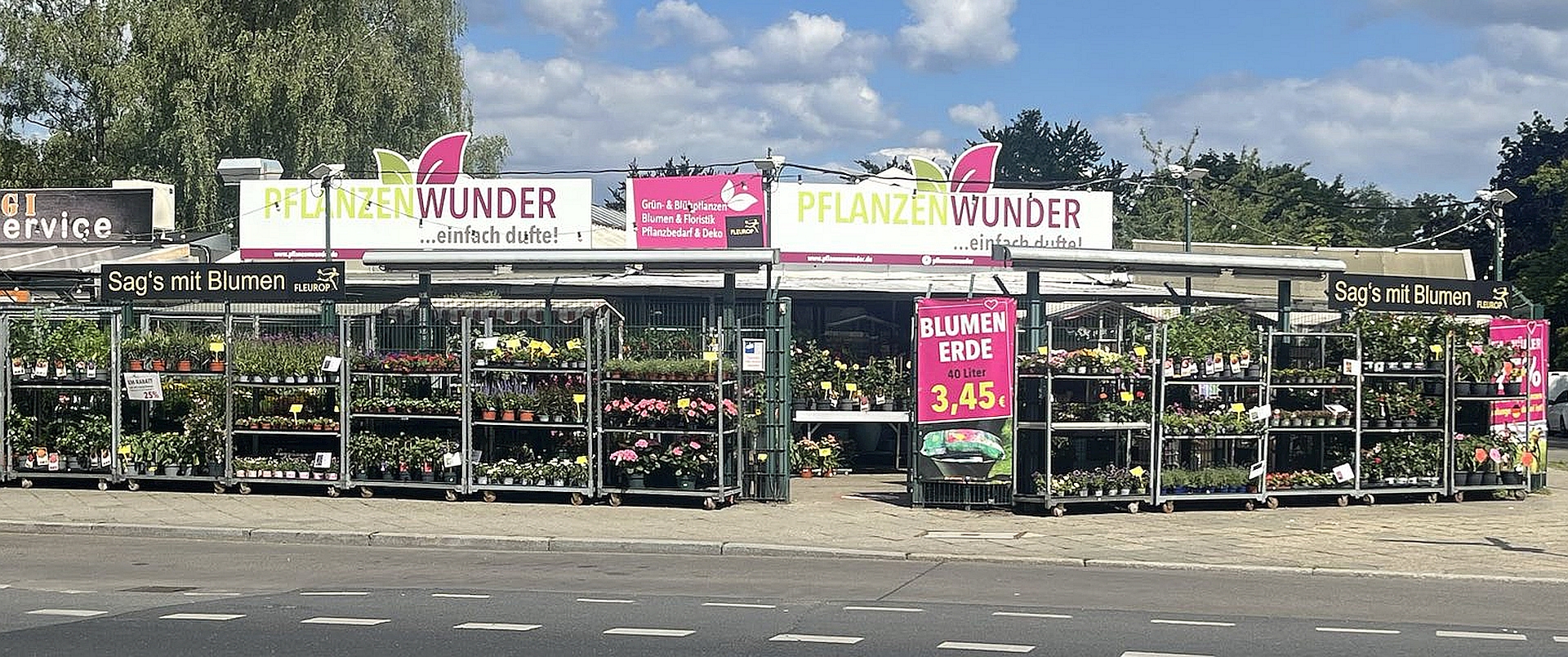 PflanzenWunder