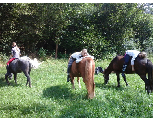 Reitschule am Samainhof Ursusla Wohlfahrt