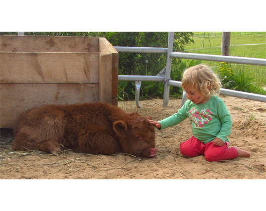 Reitschule am Samainhof Ursusla Wohlfahrt