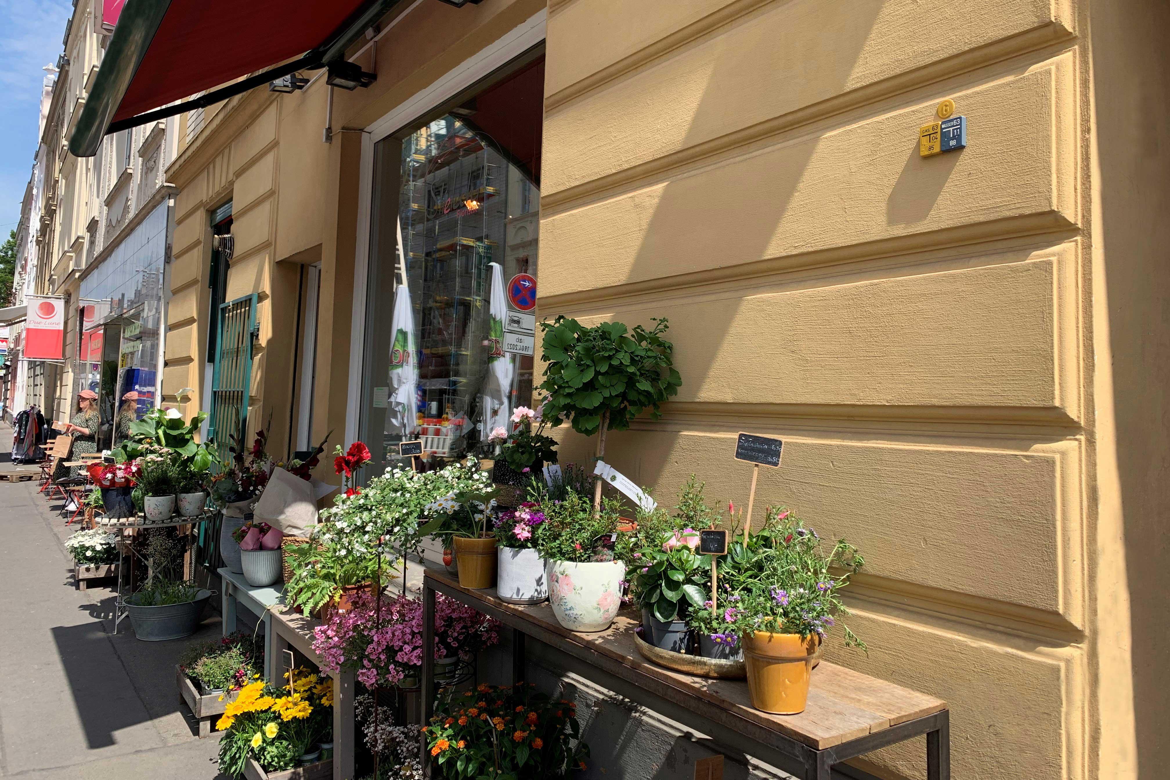 Stielecht Floristik | Blumen, Pflanzen und Hochzeitsfloristik Köln