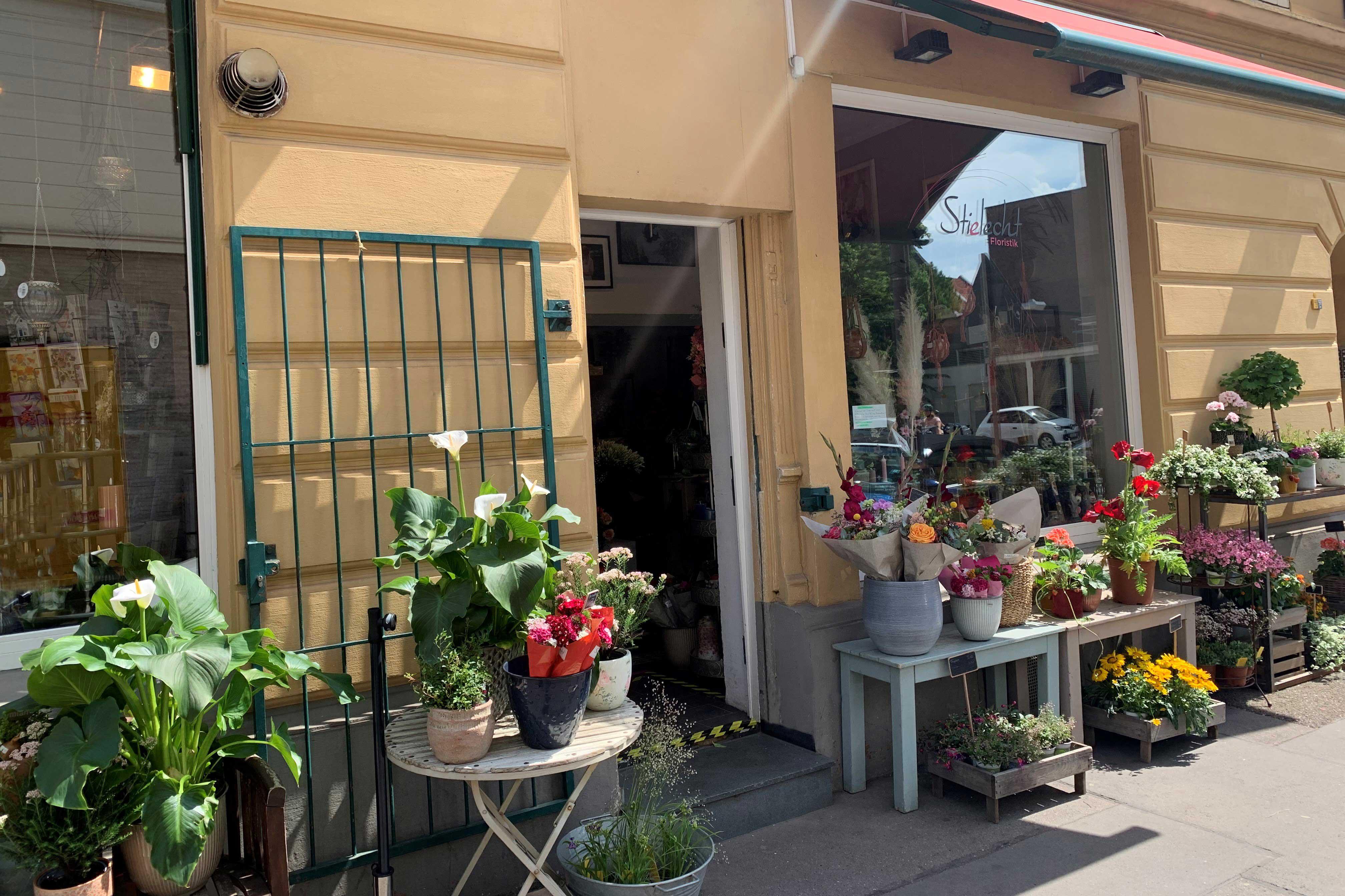 Stielecht Floristik | Blumen, Pflanzen und Hochzeitsfloristik Köln