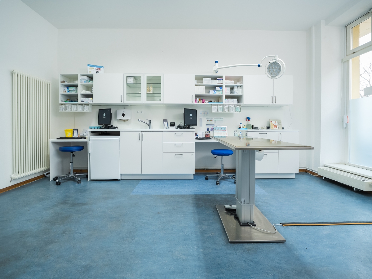 Tierarzt Berlin Prenzlauer Berg, Tierarztpraxis und Tierphysiotherapie Uwe Lenk