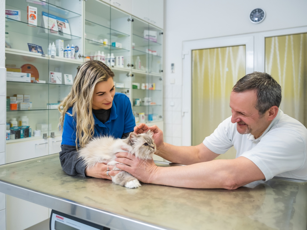 Tierarzt Berlin Prenzlauer Berg, Tierarztpraxis und Tierphysiotherapie Uwe Lenk