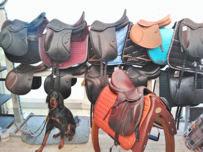 Ulrike Hübner Passion - Sättel & mehr