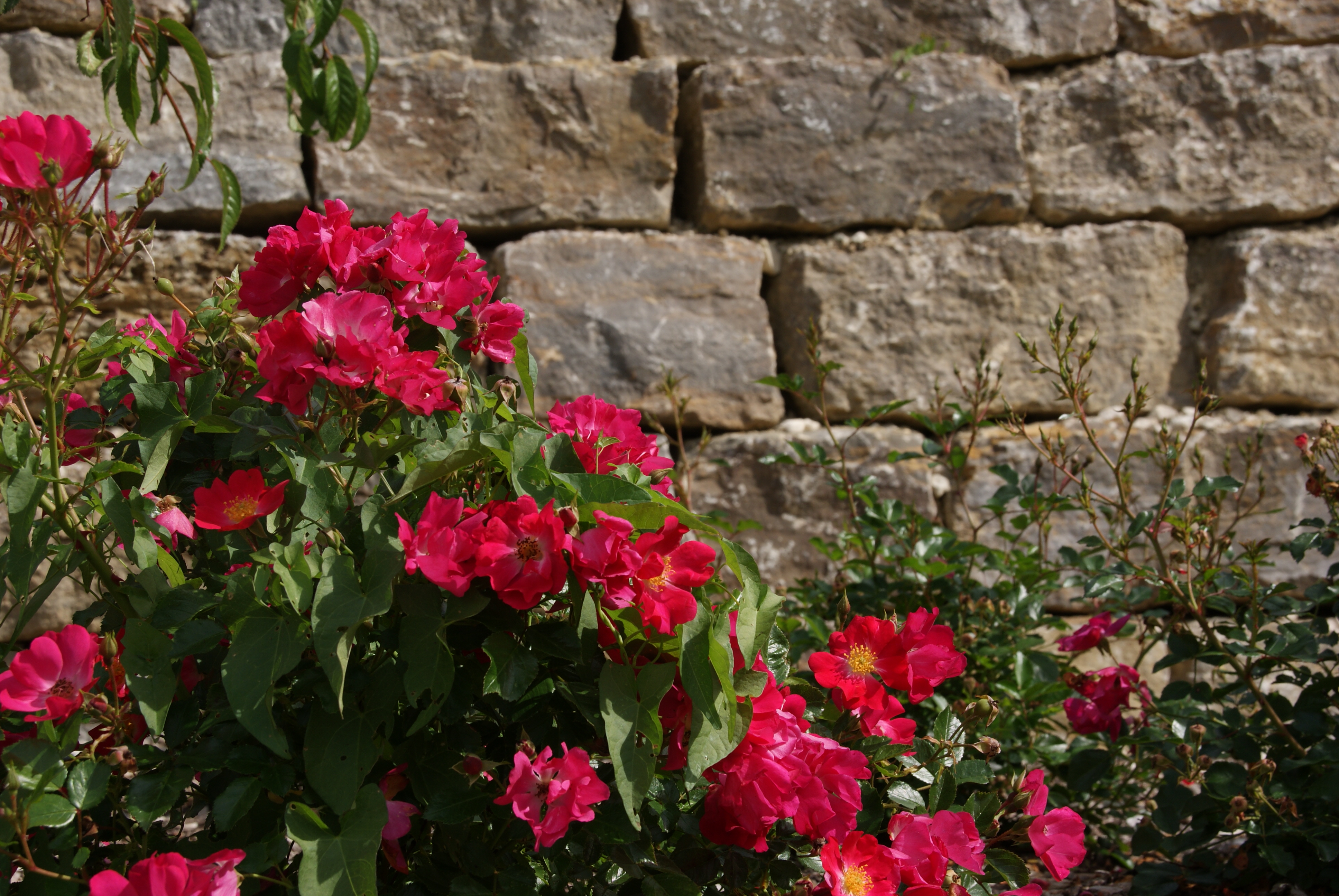 Winter Gartenbau GmbH