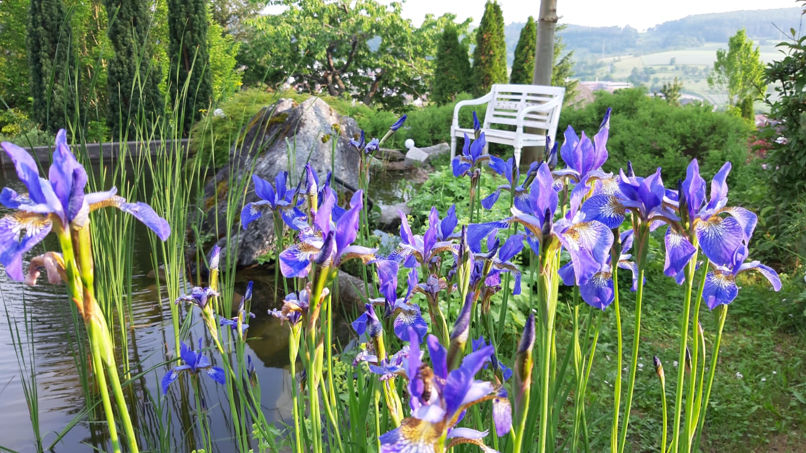 Winter Gartenbau GmbH