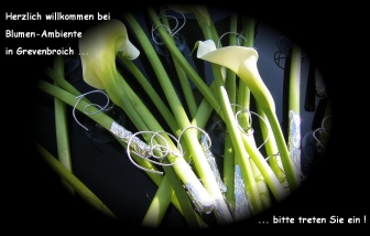 http://www.blumen-ambiente-grevenbroich.de/start.htm