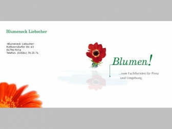 http://blumen-pirna.de