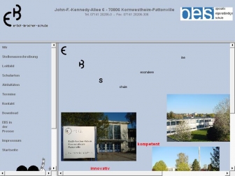 http://erich-bracher-schule.de